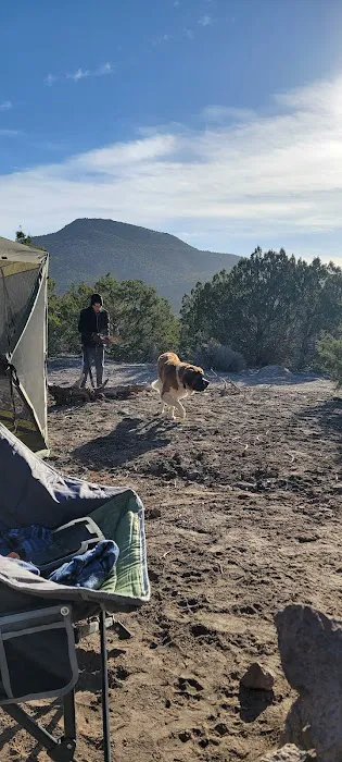 Big Rock Wilderness Area North Campground 5
