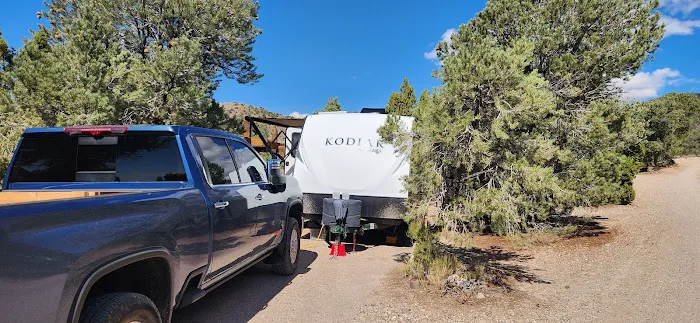 Berlin-Ichthyosaur State Park Campground 1