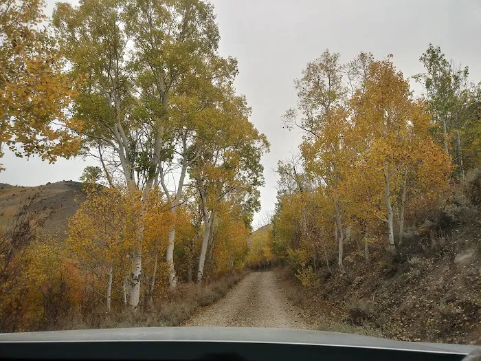Columbine Campground 3