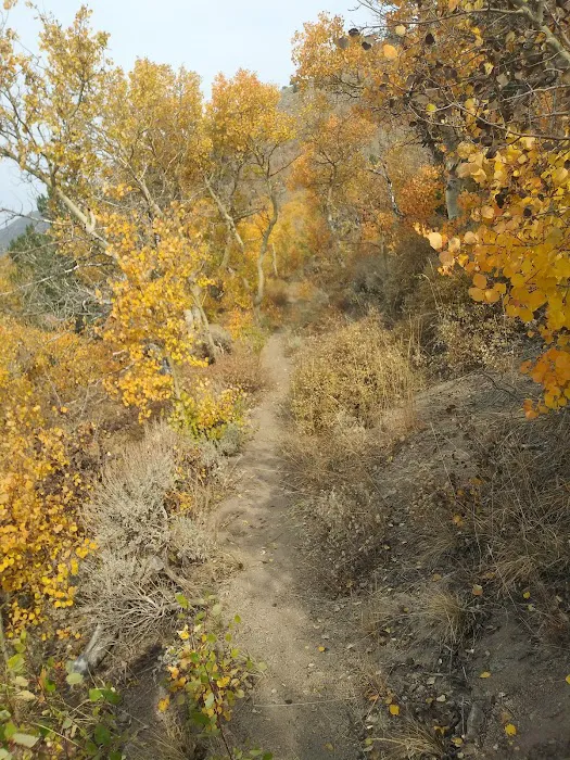 Columbine Campground 0