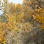 Columbine Campground