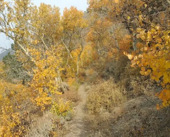 Columbine Campground