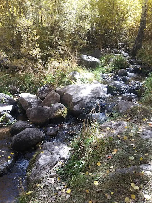 Columbine Campground 5