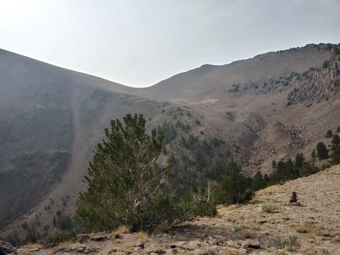 Columbine Campground 1