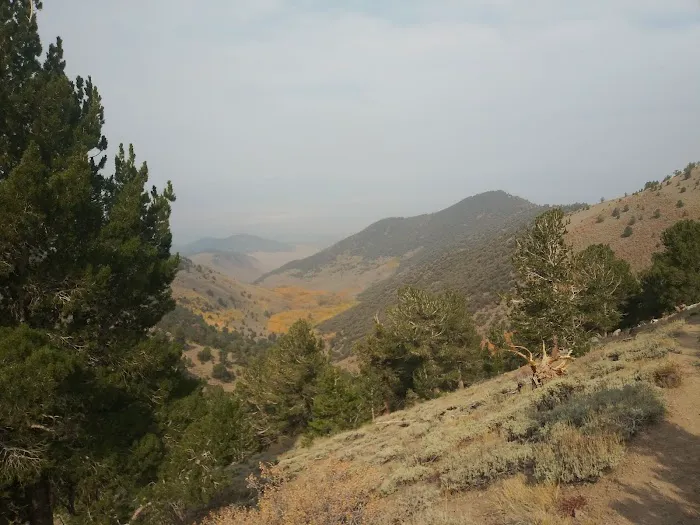 Columbine Campground 6