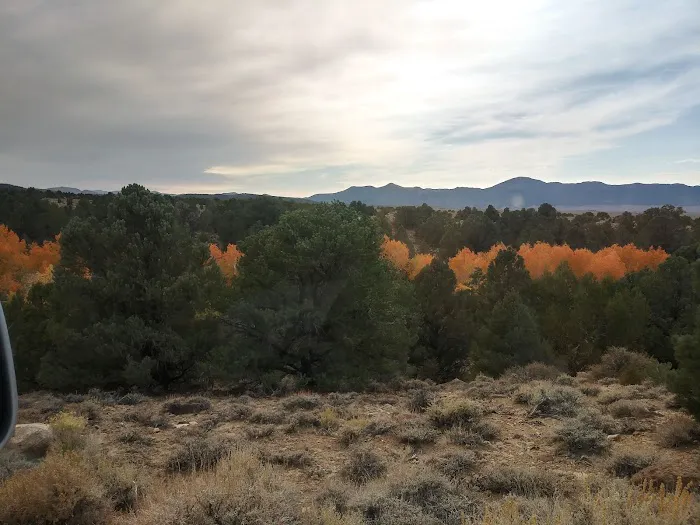 Columbine Campground 7