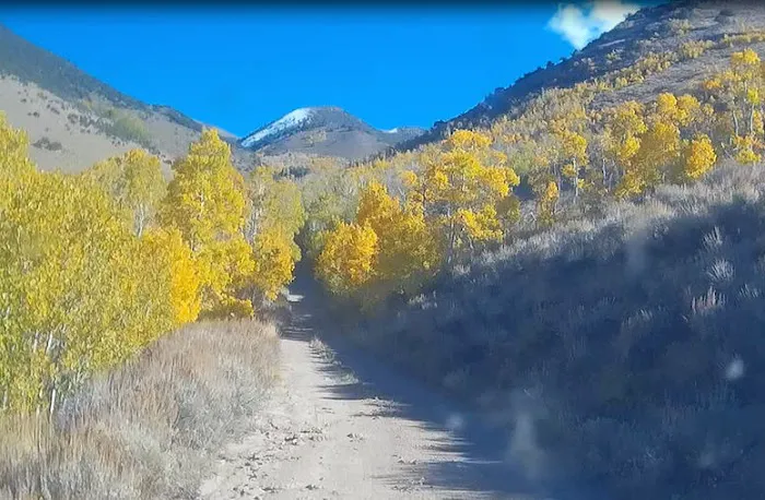 Columbine Campground 9
