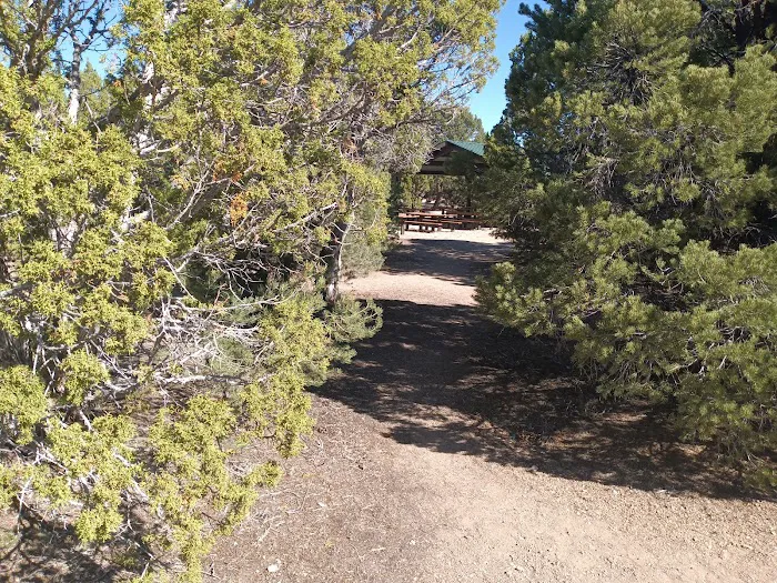 Ward Mountain Campground 2