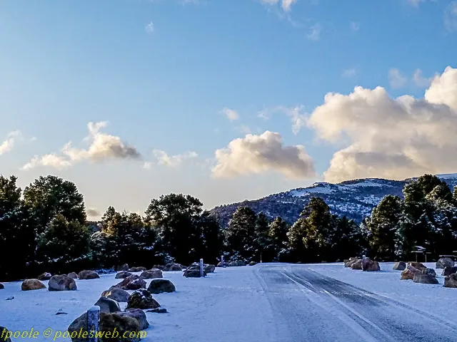 Ward Mountain Campground 7