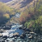 Northfork Campgrounds