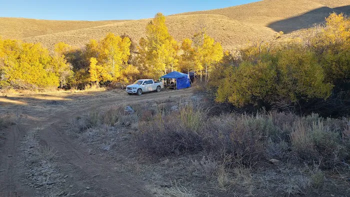 Northfork Campgrounds 1