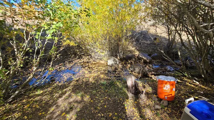 Northfork Campgrounds 3