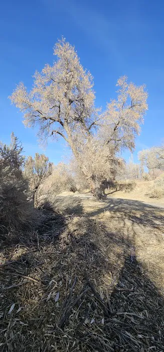 Eastside Picnic Area 3
