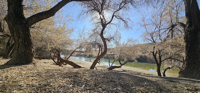 Eastside Picnic Area 8
