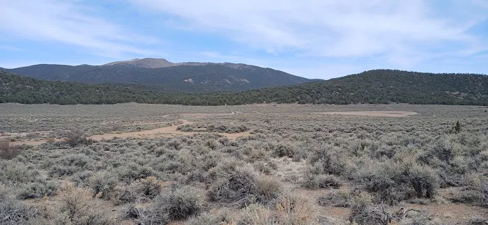 Rye Grass Springs Picture 3