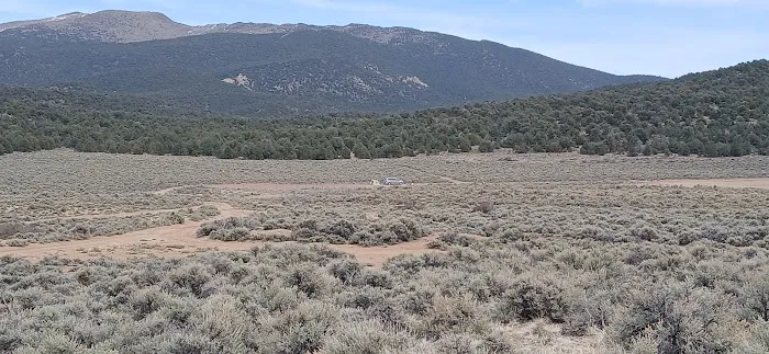 Rye Grass Springs Picture 4