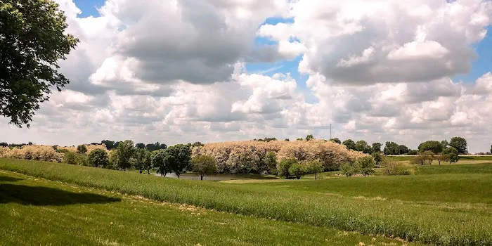 Pickard Park Campground 3