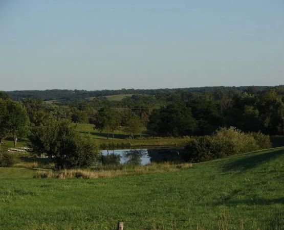 Pickard Park Campground