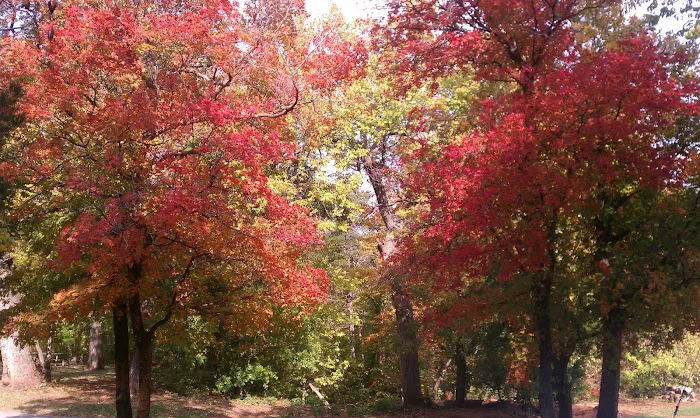 Salyer Lake Conference & Retreat Center 3