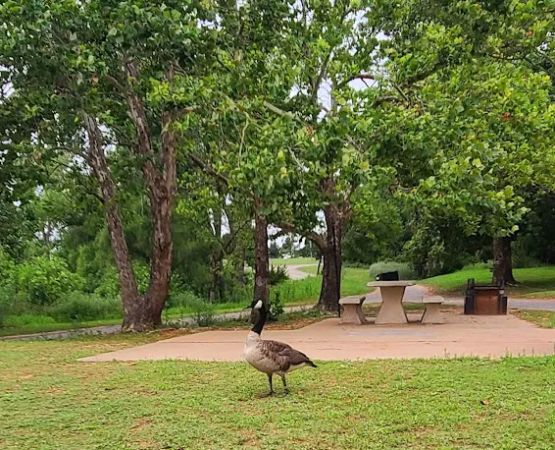 Goose Feather Campground at Fort Cobb State Park