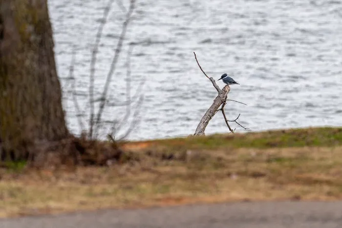Cove Road Campground at Fort Cobb State Park 2