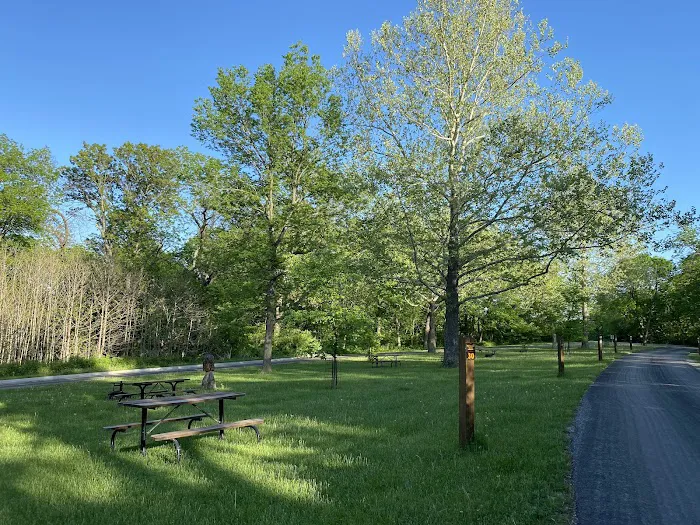 Waubonsie State Park Campground 9