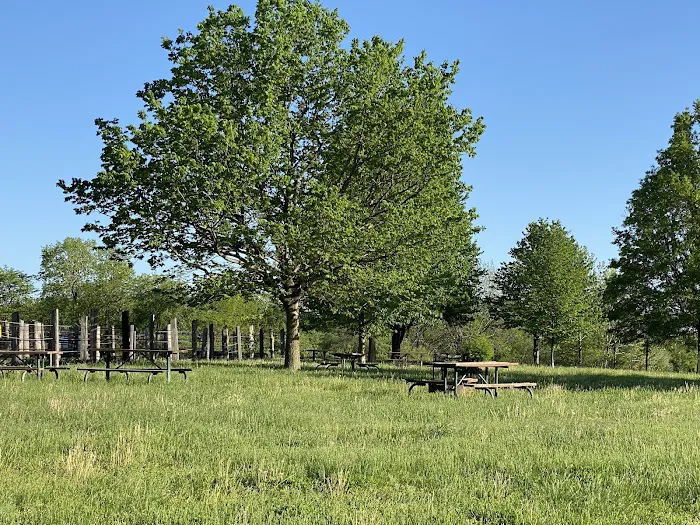 Waubonsie State Park Equestrian Campground 6