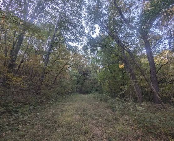 Brickyard Hill Campground - Notth