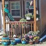 All American Campground and RV Park