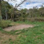 Hohneke Pond site #1