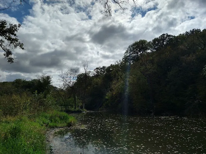 Hohneke Pond site #1 4