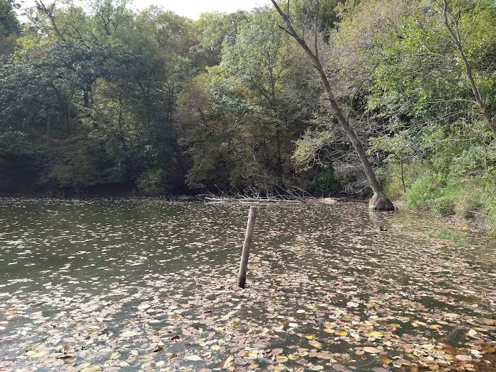 Hohneke Pond site #1 5
