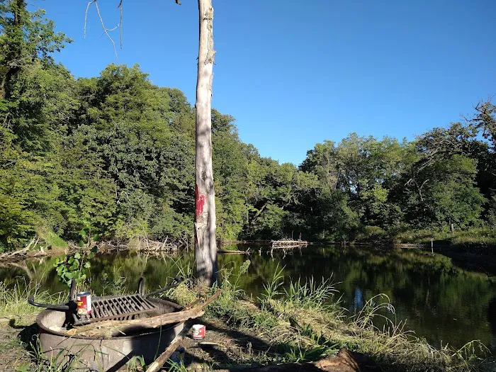 Hohneke Pond site #1 1