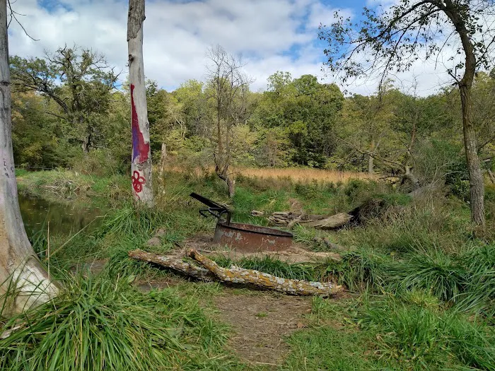 Hohneke Pond site #1 7