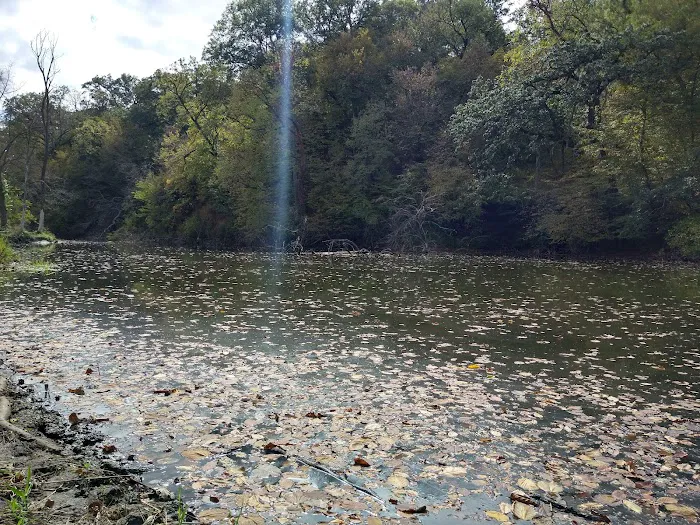 Hohneke Pond site #1 9