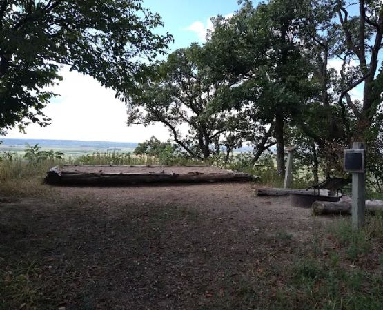 Cottonwood Campsite
