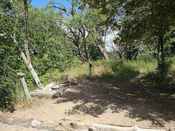 Cottonwood Campsite 5