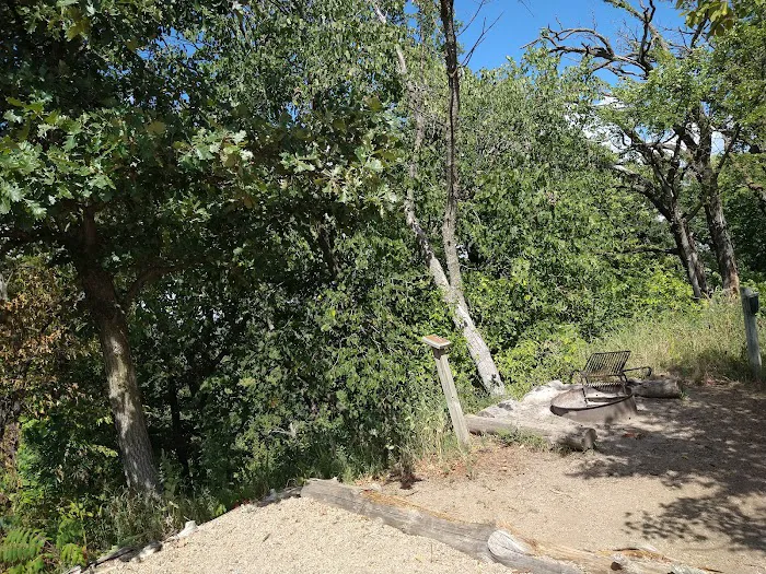 Cottonwood Campsite 7