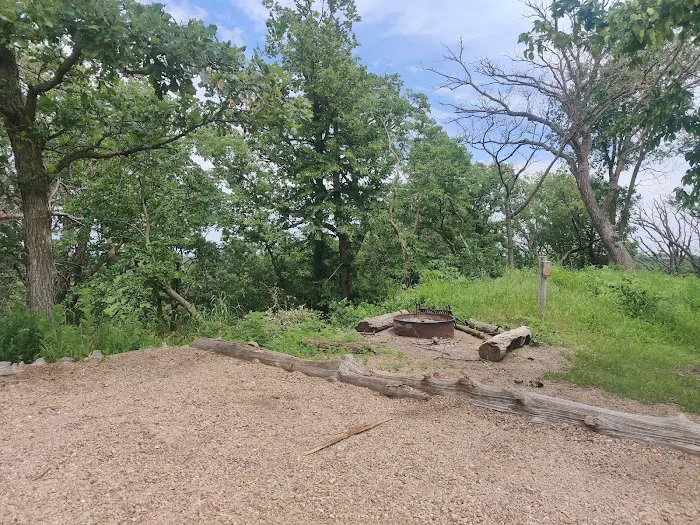 Cottonwood Campsite 9