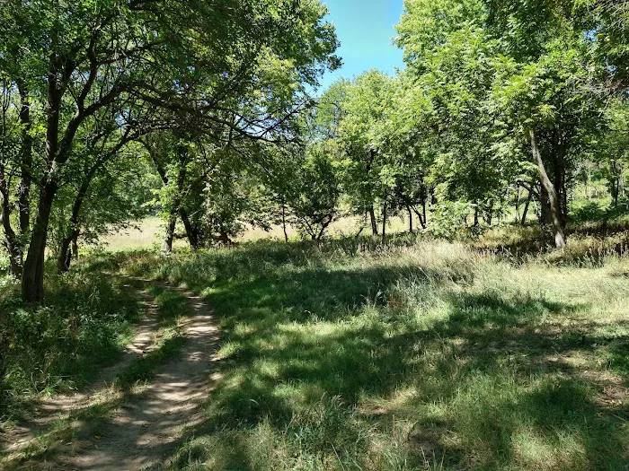 Badger Ridge Campsite 7