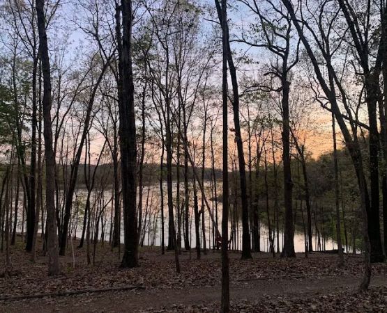 Karst Loop Campsite 3