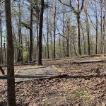 Pigeon Roost Camp Site 5