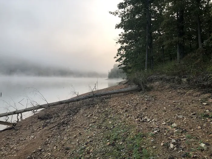 Pigeon Roost Campsite 3 5