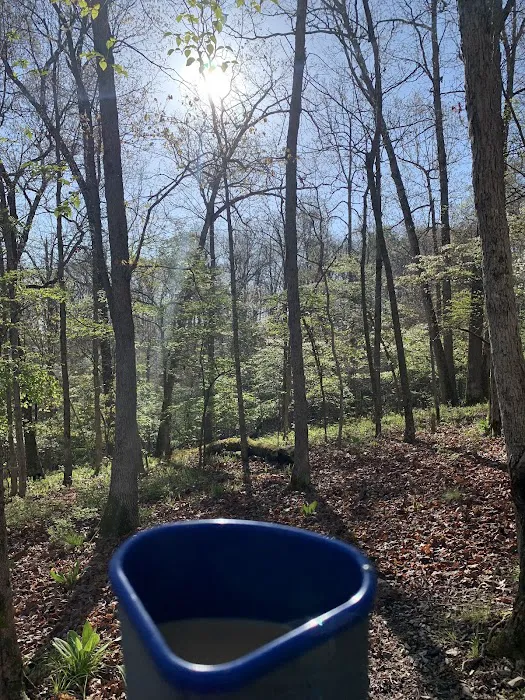 Pigeon Roost Campsite 3 3