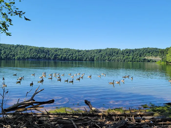 Horseshoe Bend Campground 3