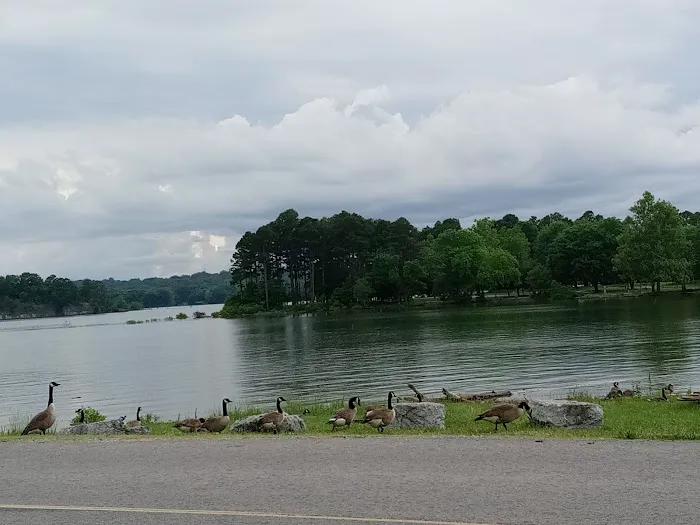 Horseshoe Bend Campground 9
