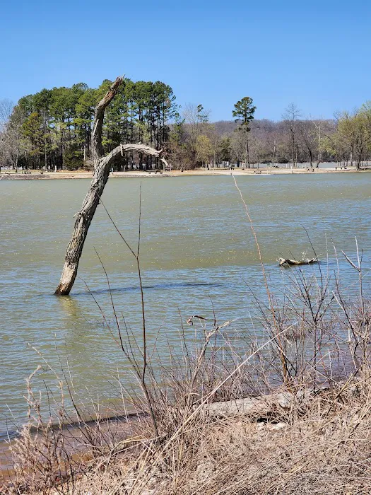 Horseshoe Bend Campground 6