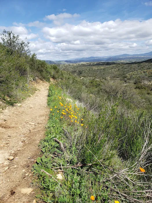 Dripping Springs Campground 1