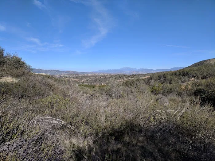 Dripping Springs Campground 2