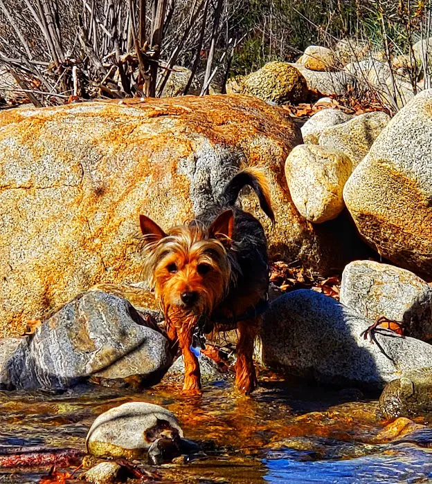 Dripping Springs Campground 5